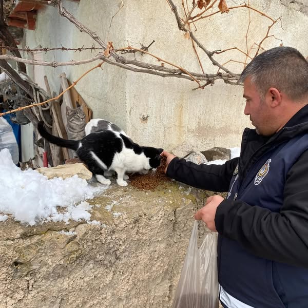 KIŞ AYLARINDA YİYECEK SIKINTISI ÇEKEN CAN DOSTLAR UNUTULMADI