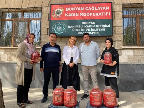 GİLABURU HASATI BAŞLADI