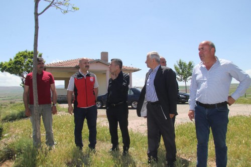 ELMALIK VE KİRAZLIK AĞAÇLANDIRMA BÖLGESİNDE İNCELEME YAPILDI